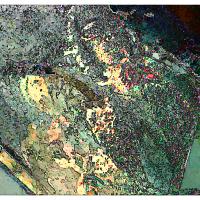 Glitch Art Numérique • Data Bending Screen Shot • 2019